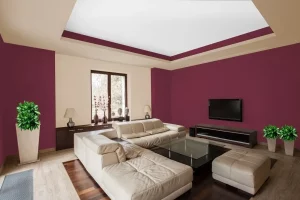 zugraveli-interioare-anypro-2